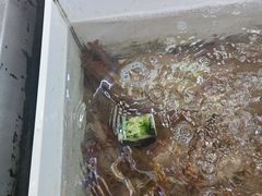 -华源餐厅·海鲜大排档(日月贝店)
