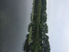 iphone_upload_pic-溱湖国家湿地公园