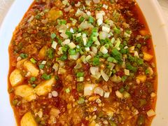 豆瓣鲈鱼-锦水苑川菜馆(风格雅园店)