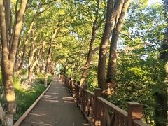 -上海市保健医疗中心