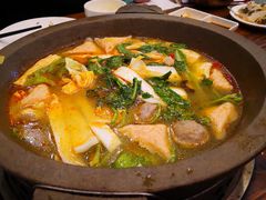 -鸭嘴鱼