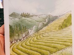 -陆家嘴金融服务广场2期