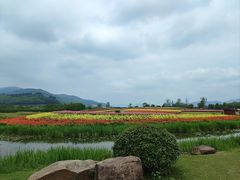 -径山花海