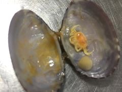 -澳盟清汤鲜黄牛肉(公济桥路店)