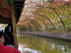 -渔岛海洋度假区