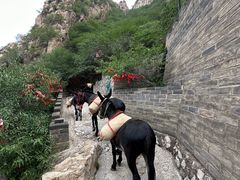 -鸡鸣山旅游风景区