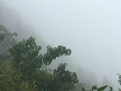 -井冈山风景名胜区-黄洋界