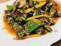 爆炒佛手螺-文仔海鲜馆