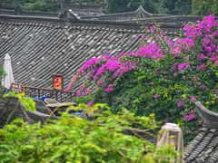 -星巴克臻选(成都宽窄巷子店)