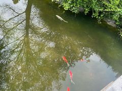 -江宁织造博物馆