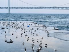 -星海广场