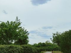 -永定河休闲森林公园