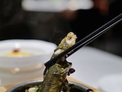 石锅鸡血黄辣丁-许家菜(望江店)
