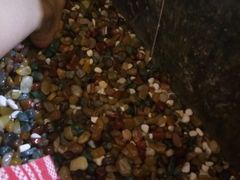 -汤泉良子.足疗按摩.SPA(中关村店)