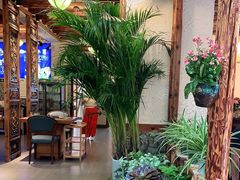 -大理董·董家小厨野生菌火锅(古城旗舰店)