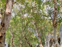 -长江路历史文化街区