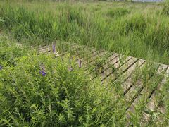 -敕勒川草原文化旅游区