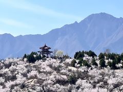 -白水寺森林公园
