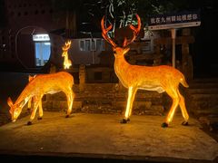 -天门沟九州驿站树上汤泉