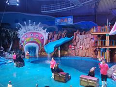 -烟台海昌鲸鲨海洋公园