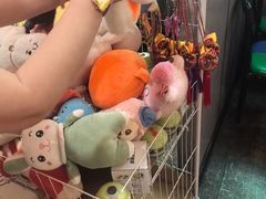 -陈老二烧烤(草市街总店)