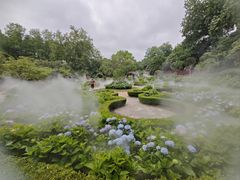 -上海共青森林公园