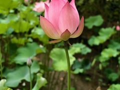 -福建鲤鱼洲酒店