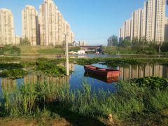 -前关湿地公园