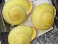 -济南恒隆广场