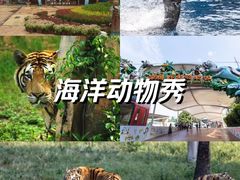-深圳野生动物园