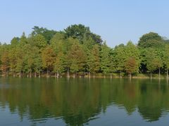 -华南国家植物园-售票处