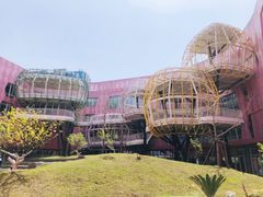 -杭州观成实验学校