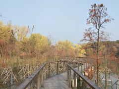 -昆山城市生态森林公园