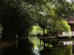 -棠湖公园