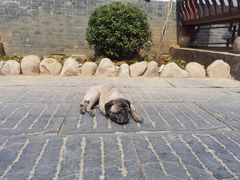 -高淳老街