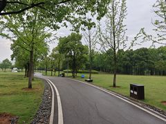 -洋湖国家湿地公园