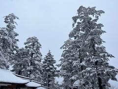 -峨眉山风景名胜区