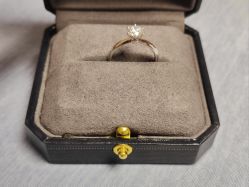 -钻石小鸟钻戒婚戒定制(石路店)