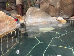 -威海天沐温泉度假区