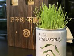 -很久以前羊肉串(簋街店)