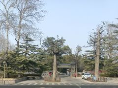 -八宝山(地铁站)