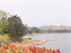 -安宁市宁湖森林公园