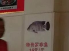 -草墩罗非鱼庄•野生菌•腊排骨(七星街上段店)