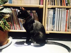 -小时光咖啡馆(开森度假森林店)