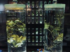 -广东中医药博物馆