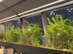 -柿合缘新京菜(国金中心商场店)