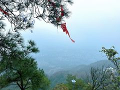 -缙云山景区