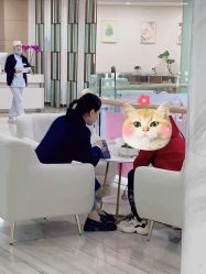 -重庆联合丽格第五医疗美容医院