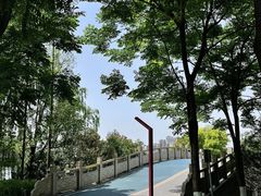 -眉山湿地公园(东坡区)