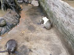 -海南热带野生动植物园